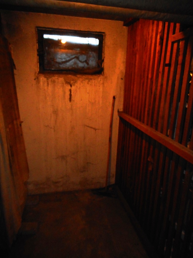 Keller Etagenwohnung Ludwigshafen