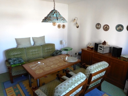 Wohnzimmer Etagenwohnung Ludwigshafen