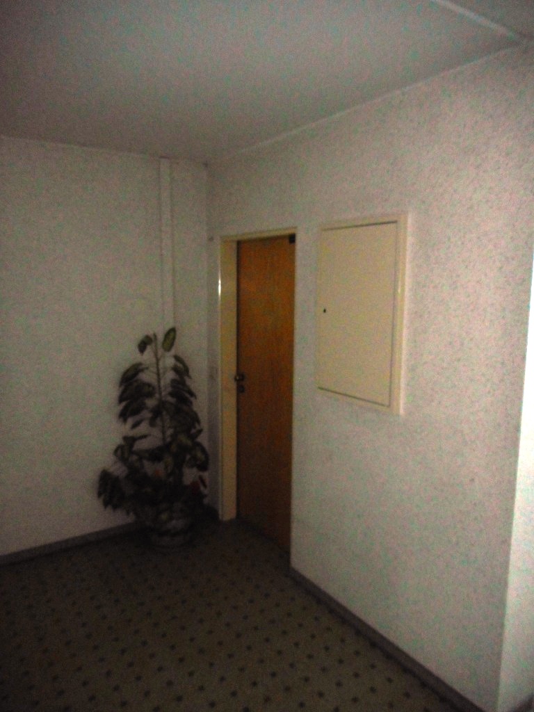 Eingang1 Etagenwohnung Ludwigshafen