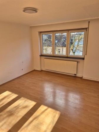 Wohnzimmer2 Etagenwohnung Ludwigshafen
